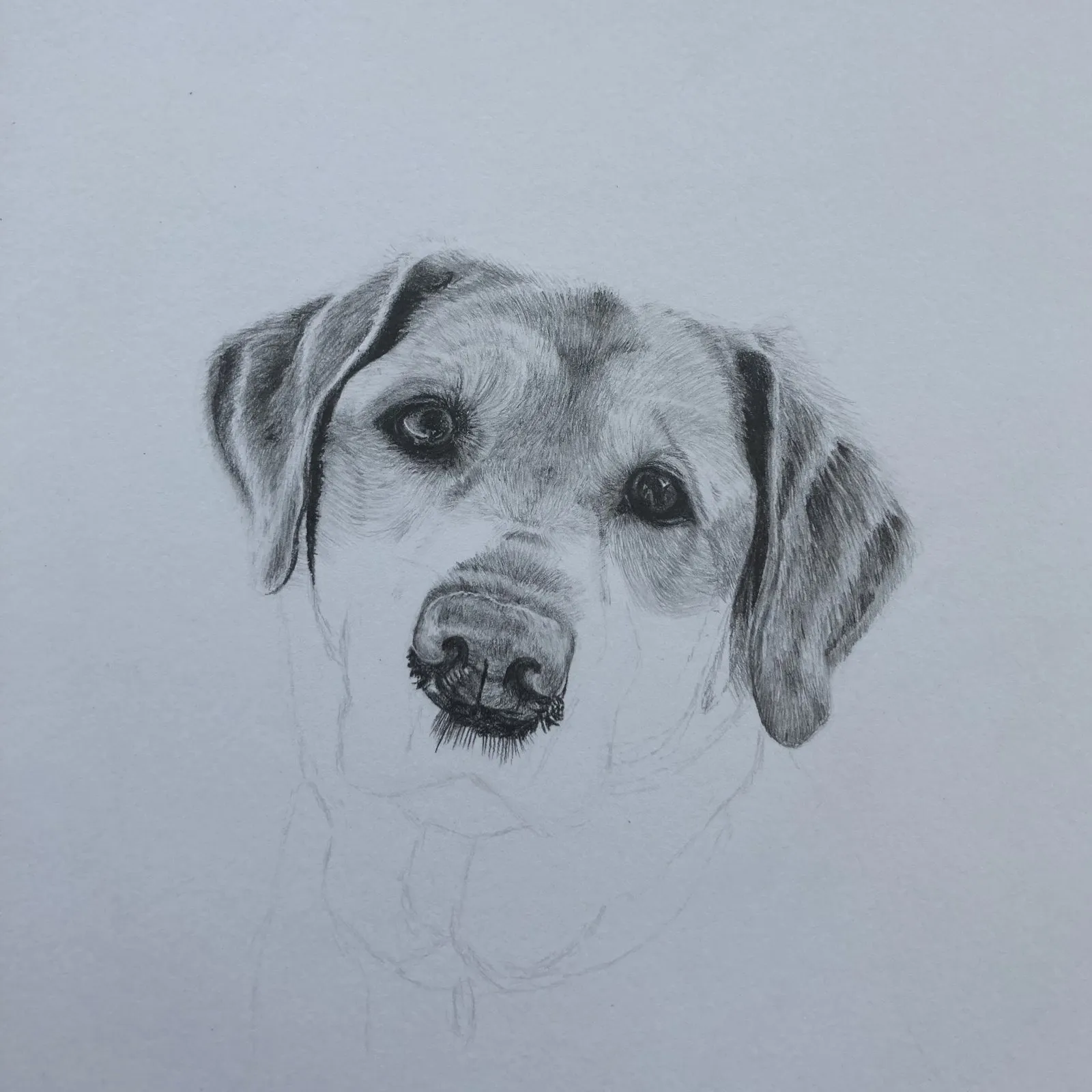 The face and nose complete, the neck and chest a light sketch.