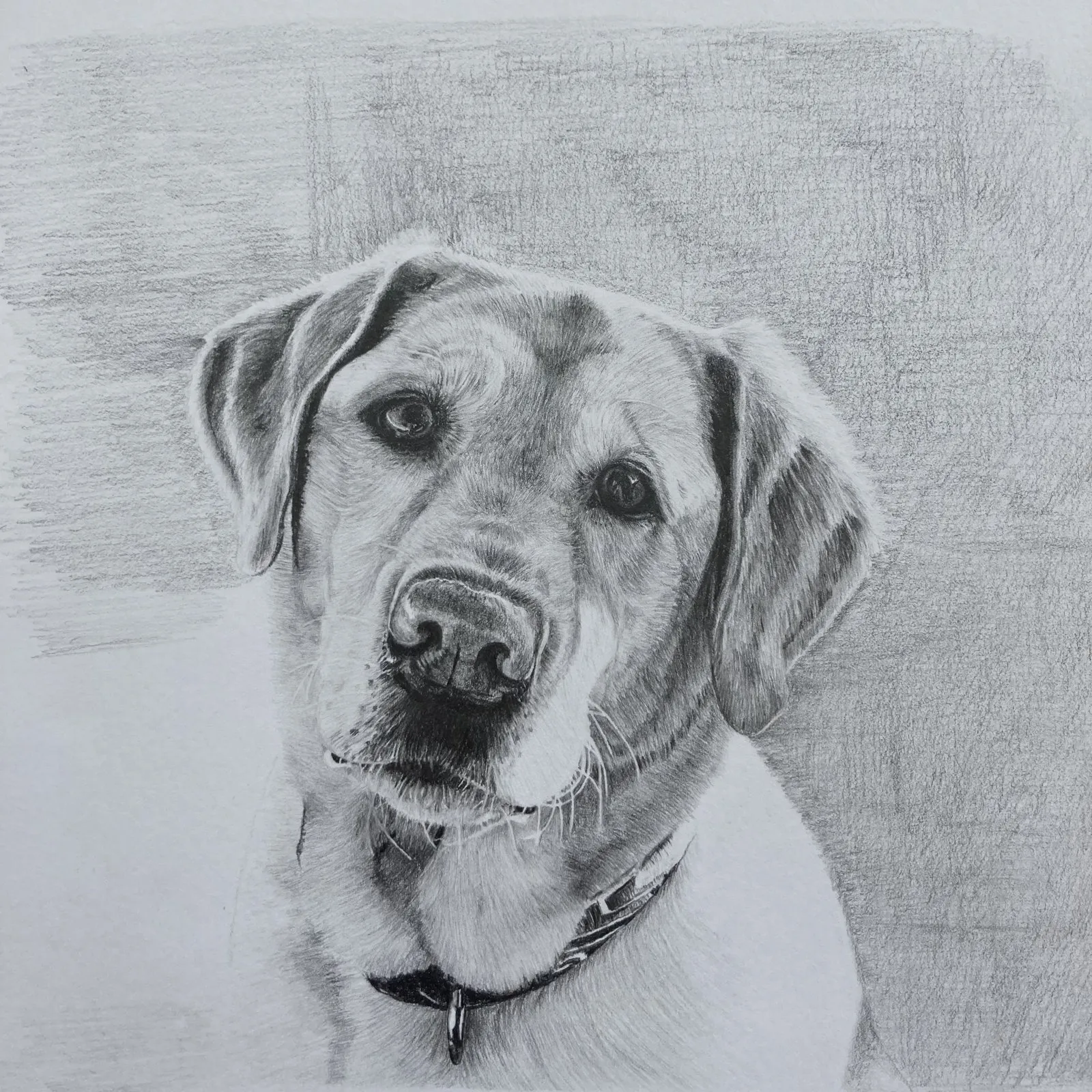 The finished drawing, complete with its softly shaded background.