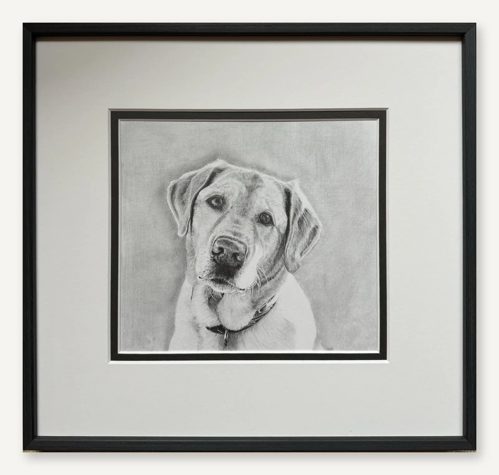 The finished Labrador portrait in a black frame with a white double mat.