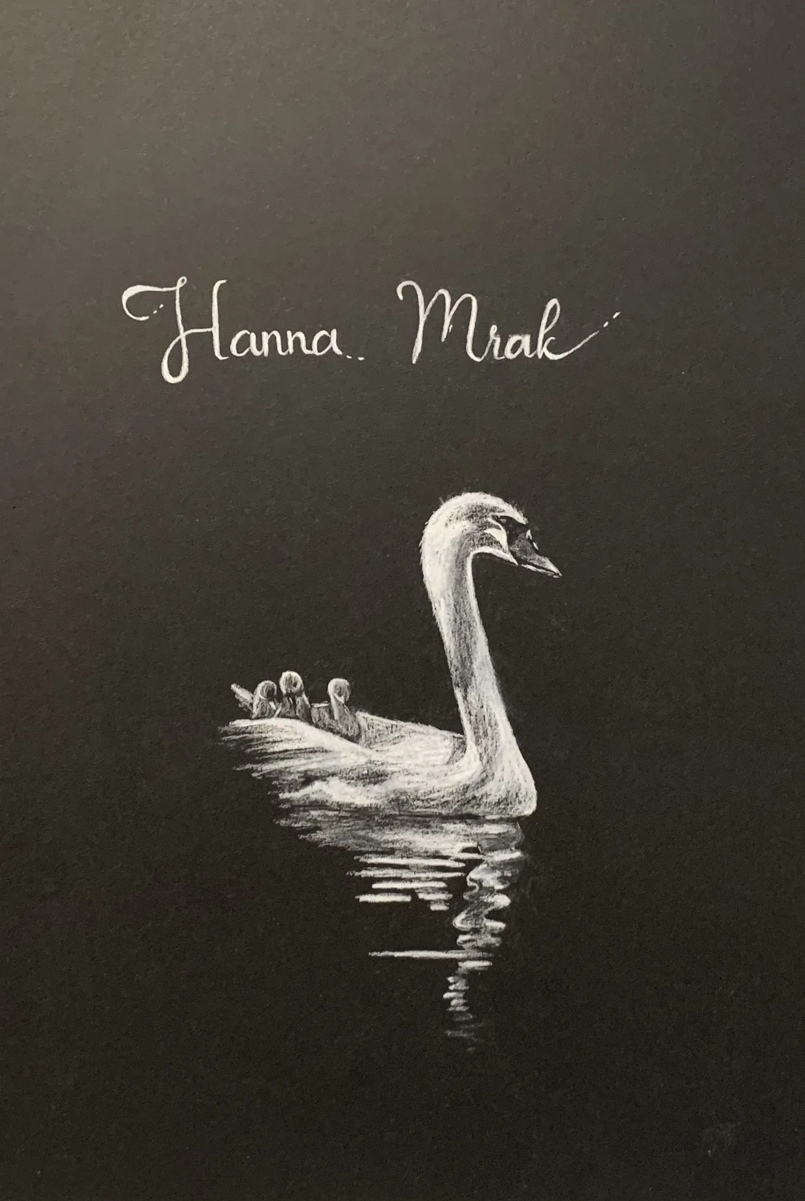 A mute swan glides across dark water with its cygnets nestled on its back, rendered in white pencil on black paper.